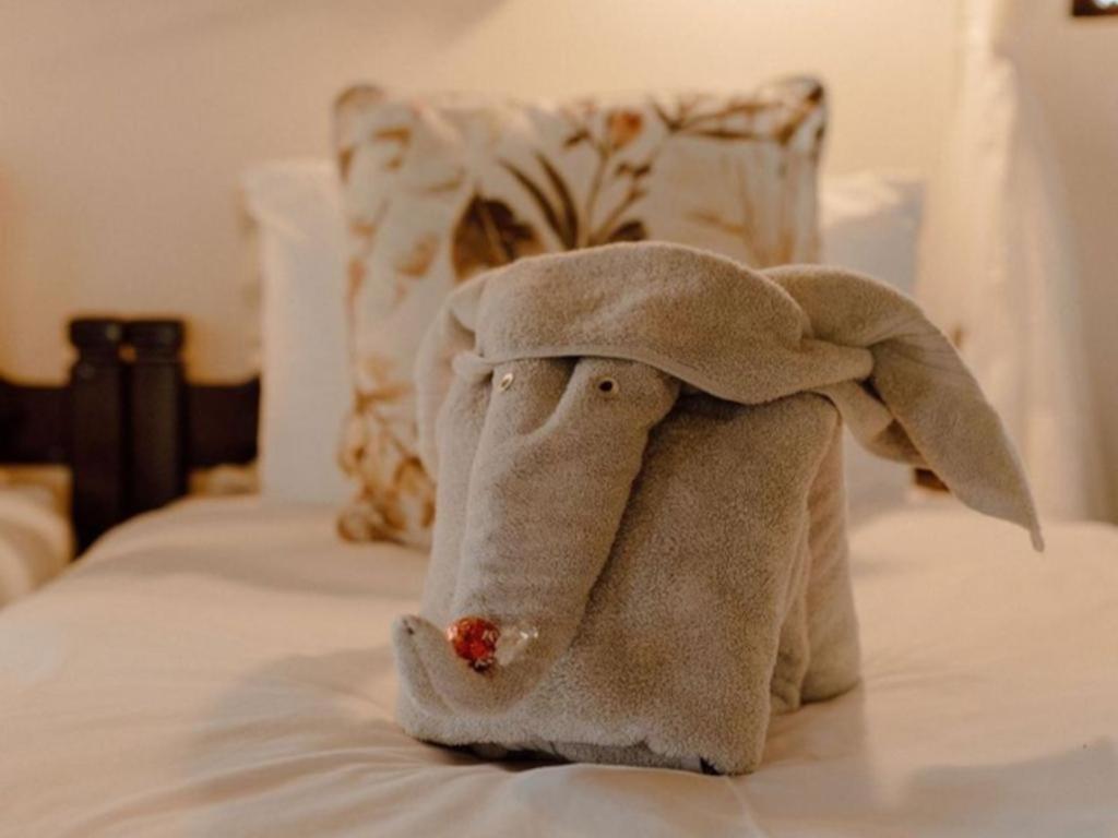Nyala Safari Lodge Hoedspruit Dış mekan fotoğraf